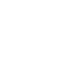 undp